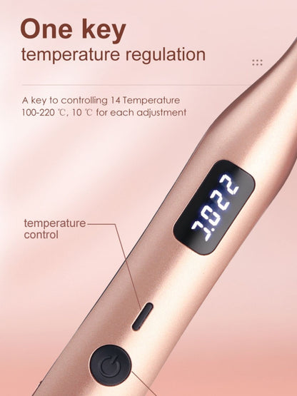 Black LED temperature adjustable hair straightener with European plug, sleek design, and digital control for easy styling.