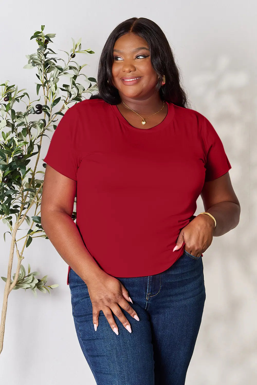 Gray Basic Bae full-size round neck short sleeve T-shirt by Trendsi, casual cotton tee on a plain background.